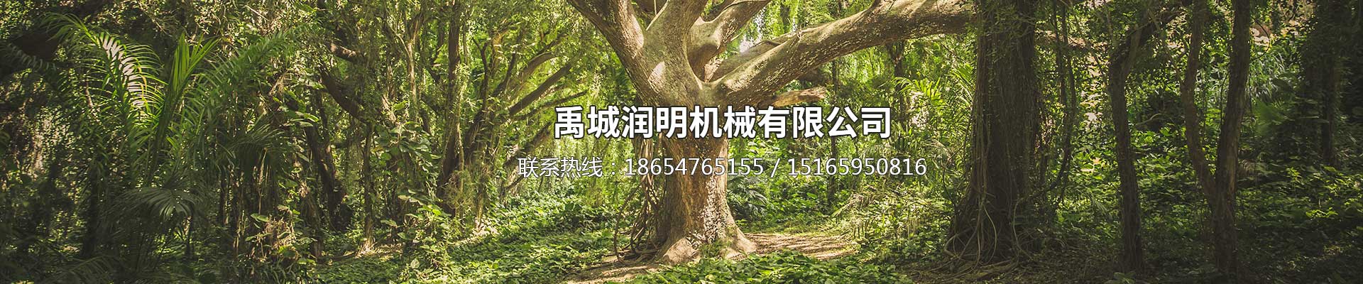 旋转抓木机