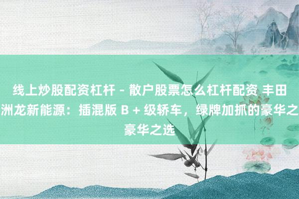 线上炒股配资杠杆 - 散户股票怎么杠杆配资 丰田亚洲龙新能源：插混版 B + 级轿车，绿牌加抓的豪华之选