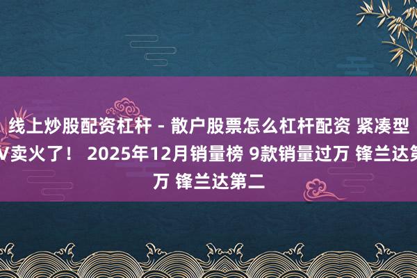 线上炒股配资杠杆 - 散户股票怎么杠杆配资 紧凑型SUV卖火了！ 2025年12月销量榜 9款销量过万 锋兰达第二
