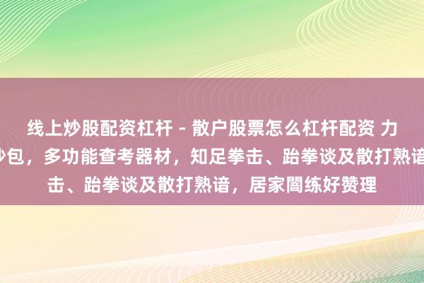 线上炒股配资杠杆 - 散户股票怎么杠杆配资 力动品牌PB20立式沙包，多功能查考器材，知足拳击、跆拳谈及散打熟谙，居家闇练好赞理