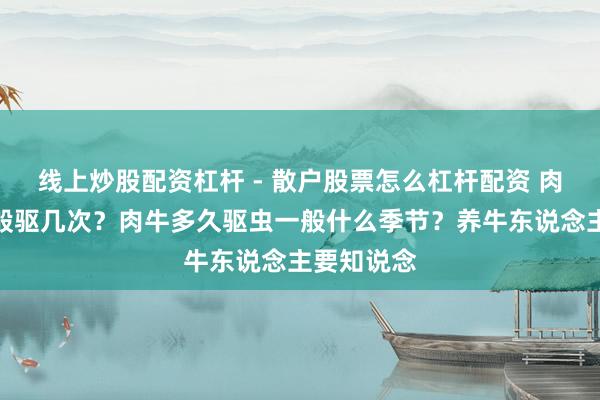 线上炒股配资杠杆 - 散户股票怎么杠杆配资 肉牛驱虫一般驱几次？肉牛多久驱虫一般什么季节？养牛东说念主要知说念