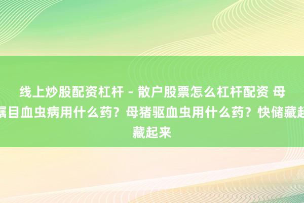 线上炒股配资杠杆 - 散户股票怎么杠杆配资 母猪瞩目血虫病用什么药？母猪驱血虫用什么药？快储藏起来