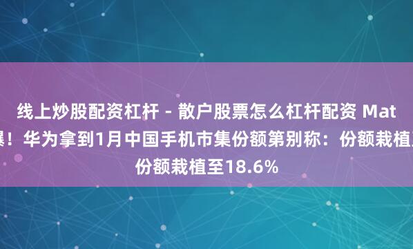 线上炒股配资杠杆 - 散户股票怎么杠杆配资 Mate 80卖爆！华为拿到1月中国手机市集份额第别称：份额栽植至18.6%
